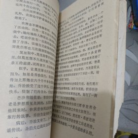 爱的寻求 乔治桑的一生