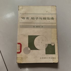 夸克、轻子和规范场 老旧书实物拍图以图为准