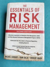 the essentials of  risk management second edition