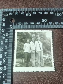 约七十年代三姐妹合影照片一张，辫子一个比一个长，Z503
