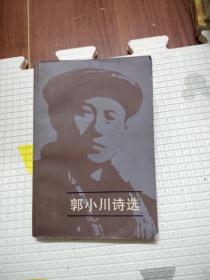 郭小川诗选 上，10元包邮，