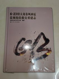 6.23特大龙卷风冰雹盐城抢险救灾重建志 精装 未开封