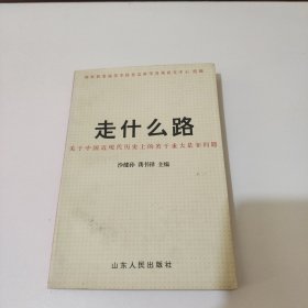 走什么路:关于中国近现代历史上的若干重大是非问题