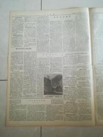 人民日报1956年4月11