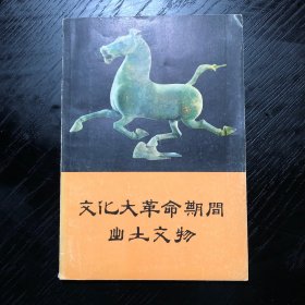 *****期间出土文物