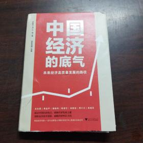 中国经济的底气：未来经济高质量发展的路径（顶级经济学家+一流专业解读）