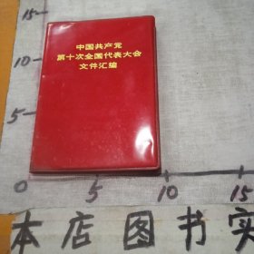 中国共产党第十次全国代表大会文件汇编