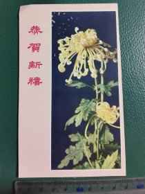 丹凤菊花贺年片