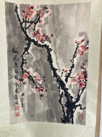 苏醒，梅花