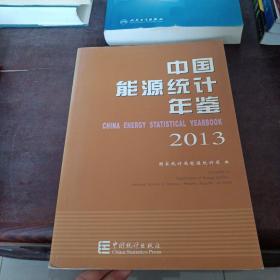 中国能源统计年鉴2013