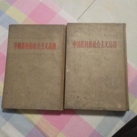 中国农村的社会主义高潮，中，下两本