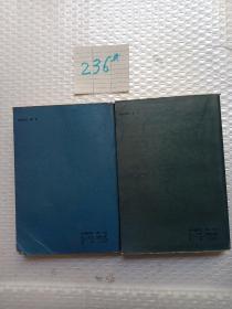 心灵的激情：弗洛伊德传记小说（上、下）