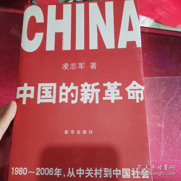 中国的新革命：1980-2006年，从中关村到中国社会