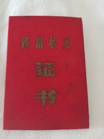 1988年天津市蓟县县委、县妇联、县人武部颁发 致富状元证书（卧室小柜子黑色档案盒里存放）