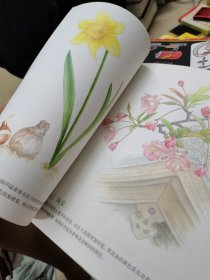 大人的涂绘01：春日花绘