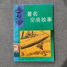 小博士文丛：著名空战故事