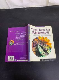 Visual Basic 6.0高級編程技巧