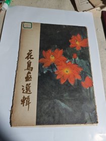 花鸟画选辑（活页11张）