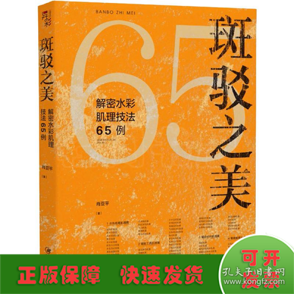 斑驳之美：解密水彩肌理技法65例