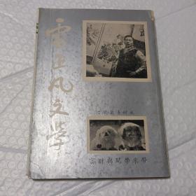 雷正凡文學(xué)