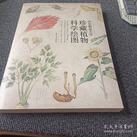 山东师范大学大学珍藏植物科学绘图