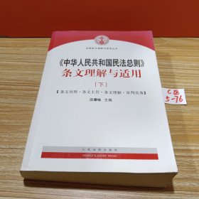 中华人民共和国民法总则 条文理解与适用（套装上下册）