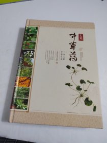实用中草药