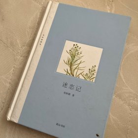 迷恋记