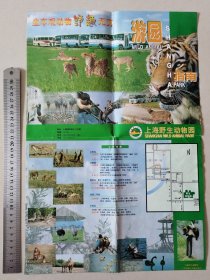 上海野生动物园游园指南