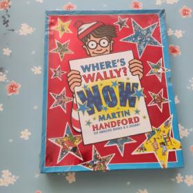 Where's Wally? Wow 威力在哪里六本合售+一本拼图