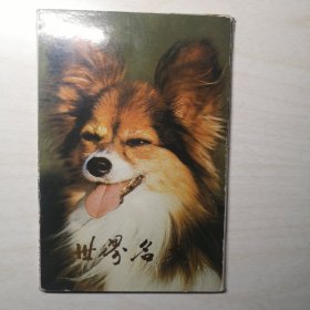 明信片：世界名犬