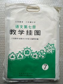 小学语文六年制第七册 教学挂图（第2版）22张全