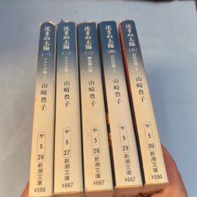 日文版-山崎丰子《太阳》1-5册