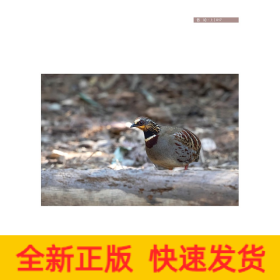 浙江烏巖嶺國家級自然保護區(qū)鳥類圖鑒（上冊）