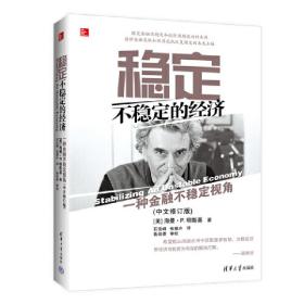 稳定不稳定的经济——一种金融不稳定视角(中文修订版)