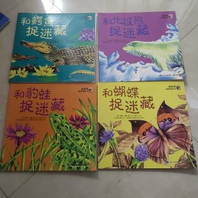 躲猫猫益智图画书 4册