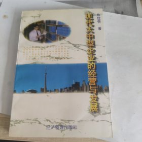 现代大中型企业的经营与发展