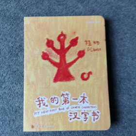 《我的第一本汉字书》第一辑（全套四册）