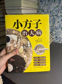 小方子治大病   中医书籍养生偏方大全民间老偏方美容养颜常见病防治 保健食疗偏方秘方大全小偏方老偏方中医健康养生保健疗法