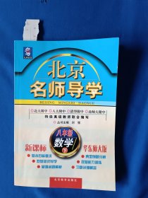 《北京名师导学（八年级数学下）》，32开。书内有划痕。如图。请买家看清后下单，免争议。