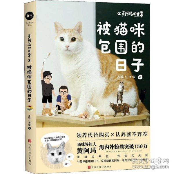 黄阿玛的日常:被猫咪包围的日子