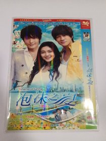 连续剧：泡沫之夏 2DVD-9 多单合并运费