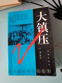 大镇压:反革命归案伏法纪实