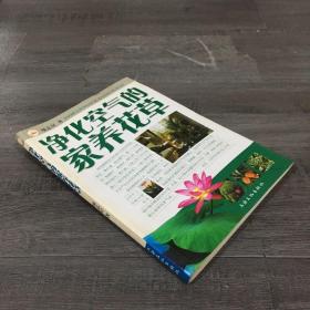 凈化空氣的的家養(yǎng)花草【館藏】