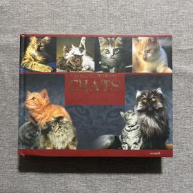 L'ENCYCLOPÉDIE DES CHATS