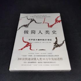 极简人类史：从宇宙大爆炸到21世纪