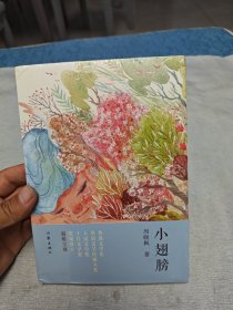 小翅膀