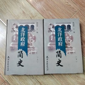 北洋政府简史（上下）