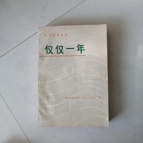 仅仅一年