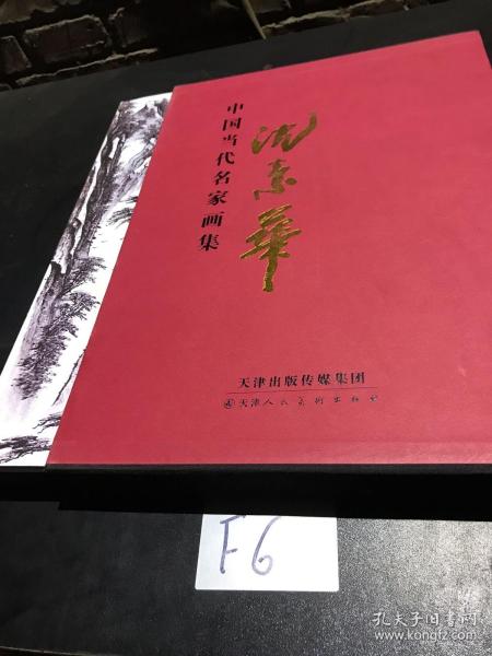 中国当代名家画集：沈素华